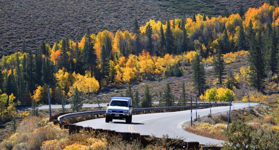 Virginia Lakes Road's colorful trees