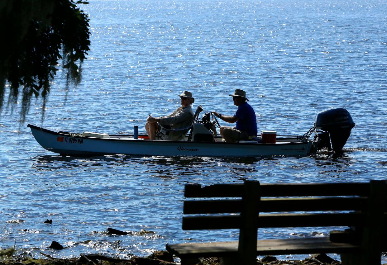 A boat cruises past Palm Point on Newnans Lake during a cleanup of the lake in 2018.