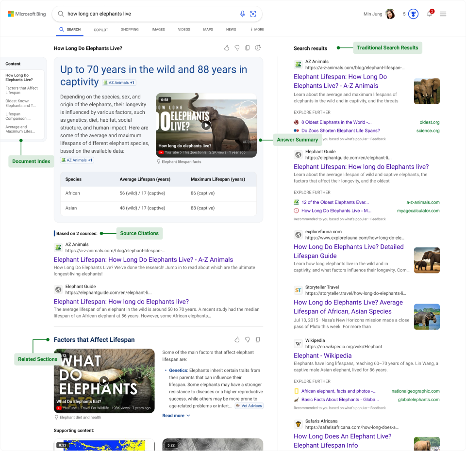 Overview of Bing generative search results