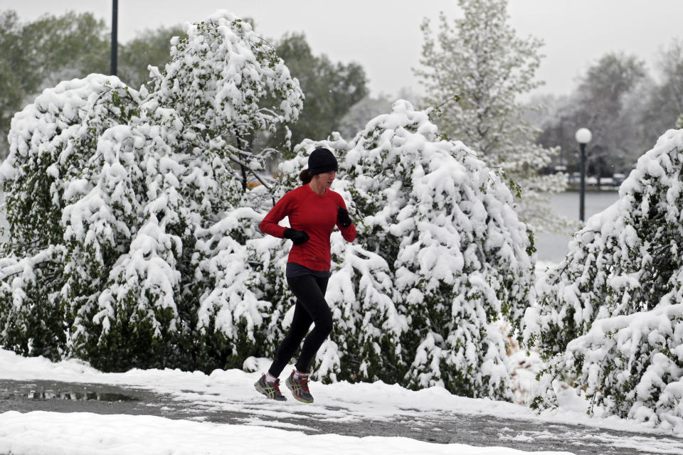 Heavy snow weighs down trees and bushes as a woman runs in Washington Park in Denver on Monday, May 12, 2014. A spring storm that has brought over a foot of snow to parts of Colorado, Wyoming and Nebraska and thunderstorms and tornadoes to the Midwest was slowing down travelers and left some without power Monday morning. (AP Photo/Ed Andrieski)