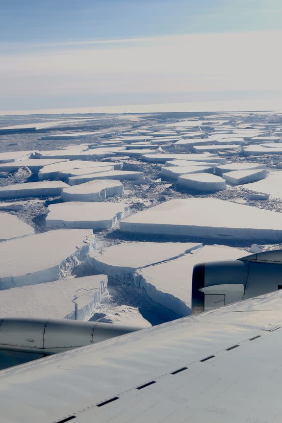 Tabular icebergs.