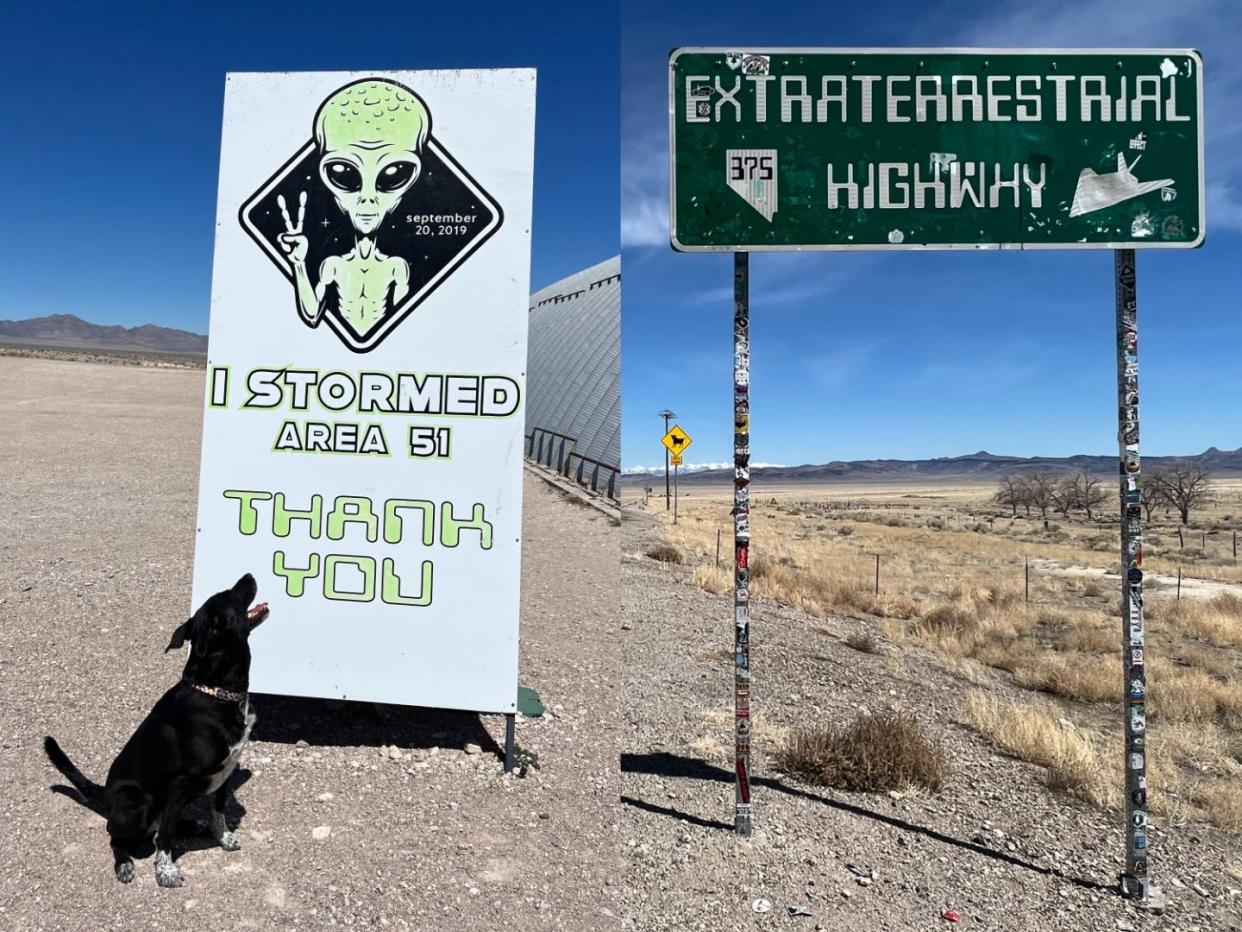 On the left, Agnes' black dog Kimmie smiles at a sign with a green alien giving a peace sign above text that says "I stormed Area 51. Thank you."