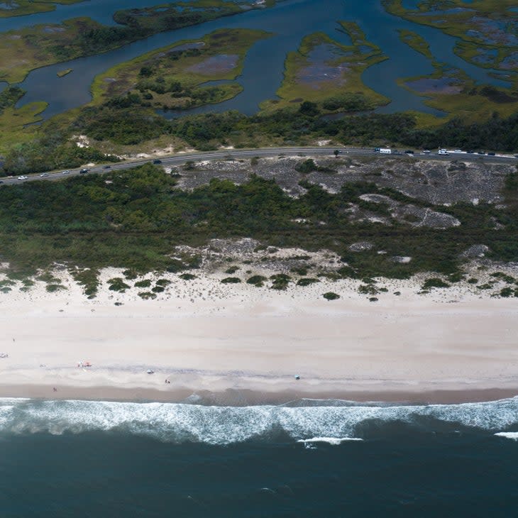 beach and bay assateague island