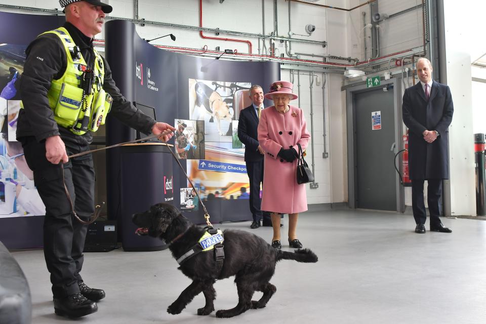 Britain's Queen Elizabeth II (C) and Britain's Prince William, Duke of Cambridge (R) view a demonstration of a Forensic Explosives Investigation with explosives detection dog named 'Max' at the Energetics Analysis Centre as they visit the Defence Science and Technology Laboratory (Dstl) at Porton Down science park near Salisbury, southern England, on October 15, 2020. - The Queen and the Duke of Cambridge visited the Defence Science and Technology Laboratory (Dstl) where they were to view displays of weaponry and tactics used in counter intelligence, a demonstration of a Forensic Explosives Investigation and meet staff who were involved in the Salisbury Novichok incident. Her Majesty and His Royal Highness also formally opened the new Energetics Analysis Centre. (Photo by Ben STANSALL / POOL / AFP) (Photo by BEN STANSALL/POOL/AFP via Getty Images)