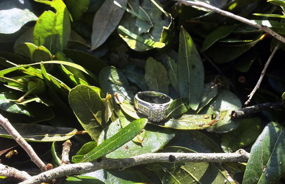 This undated photo provided by Ashley Garner shows Garner's lost wedding ring lying in a brush pile after Hurricane Ian passed through the area, in Fort Myers, Fla. (Ashley Garner via AP)