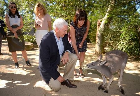 U.S. Vice President Mike Pence looks at a kangaroo called Penny with his wife Karen and their daughters Audrey (L) and Charlotte during a visit to Taronga Zoo in Sydney, Australia, April 23, 2017. REUTERS/Peter Parkes/Pool