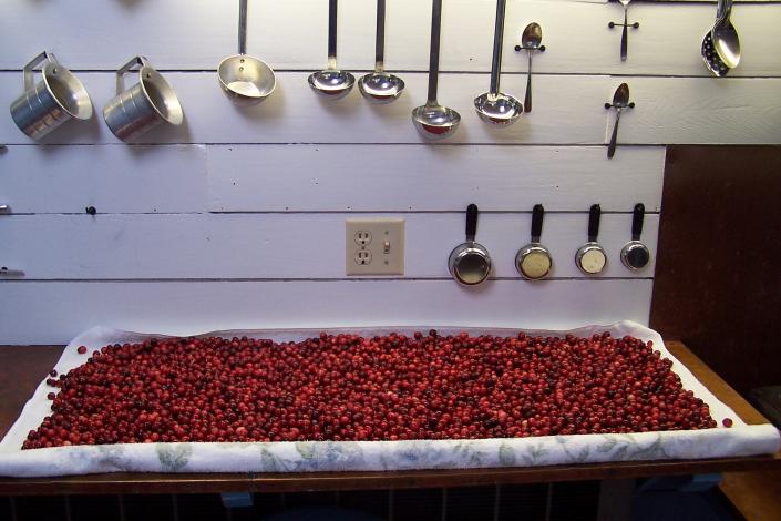 The Thornton Burgess Green Briar Nature Center &amp; Jam Kitchen will hold its annual Cape Cod Cranberry Day on Saturday.