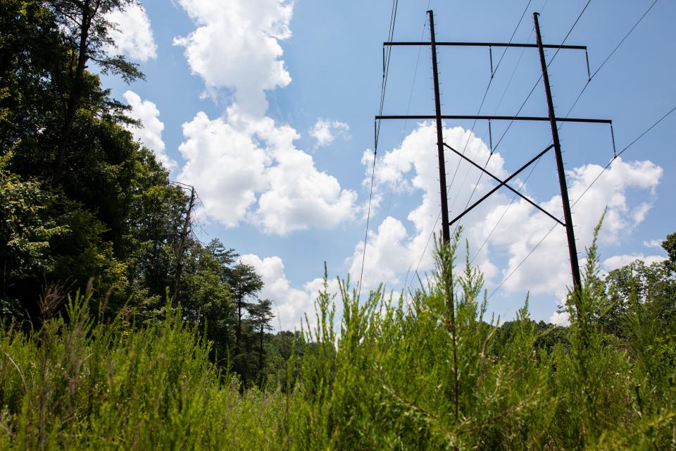 A power line runs through the part of Bernheim's land where LG&E wants to lay some of its pipeline, but otherwise the area sits mostly uninterrupted. July 9, 2019