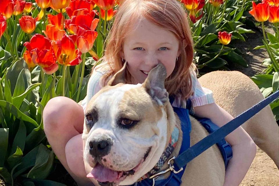 <p>Petco Love</p> Brynn with her best canine friend Biggie the bulldog mix