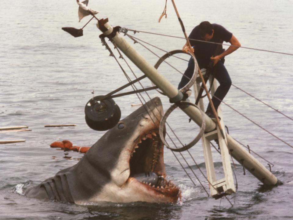 Roy Scheider as Amity police chief Brody battles a great white shark in a scene from the 1975 Steven Spielberg movie, "Jaws."