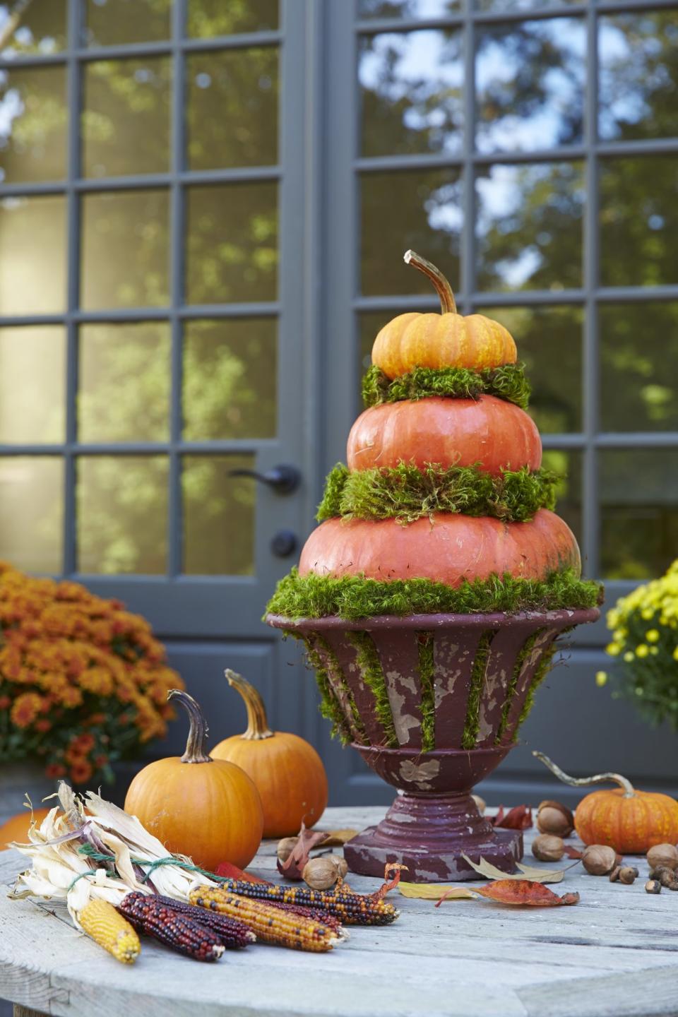 Pumpkin Topiaries