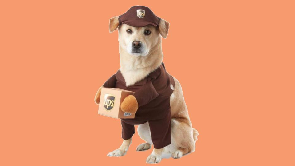 Man's best friend deserves a Halloween costume too! (Photo: Chewy)