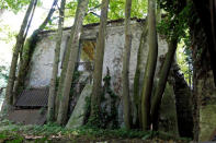 FILE PHOTO: Trees and vegetation take over an abandoned house at Goussainville-Vieux Pays, 20 kms (12 miles) north of Paris, August 21, 2013. REUTERS/Charles Platiau/File Photo