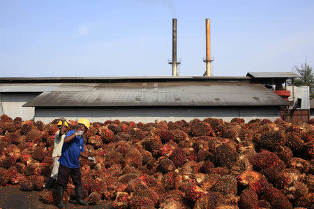 Workers collect palm oil fruits inside a palm oil factory in Sepang, outside Kuala Lumpur, February 18, 2014. REUTERS/Samsul Said/Files