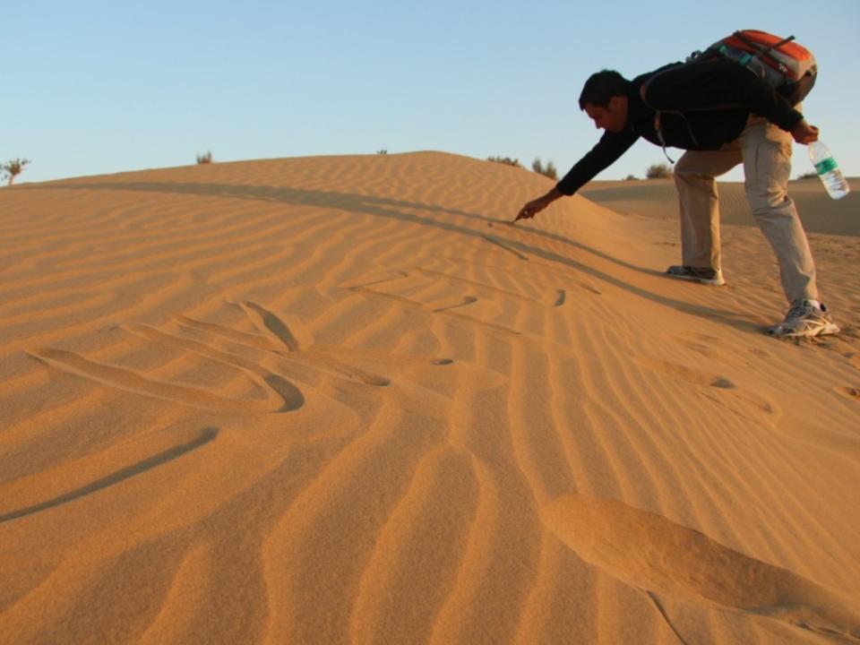 Day 1 perfectly lined sand