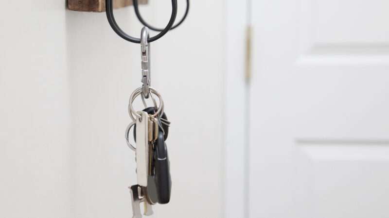 A keyring hanging from a hook by a front door.