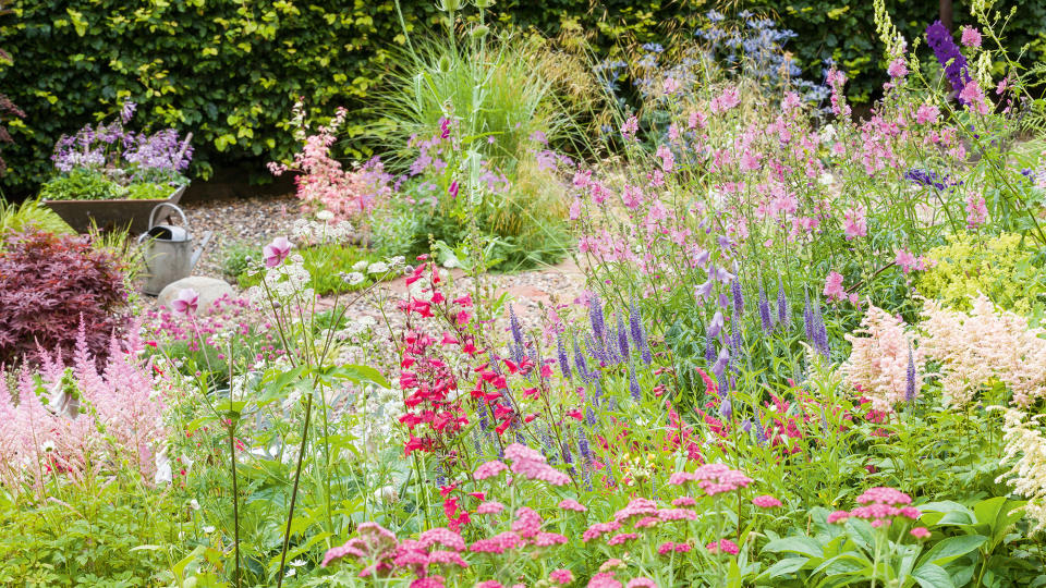 Plant colorful borders