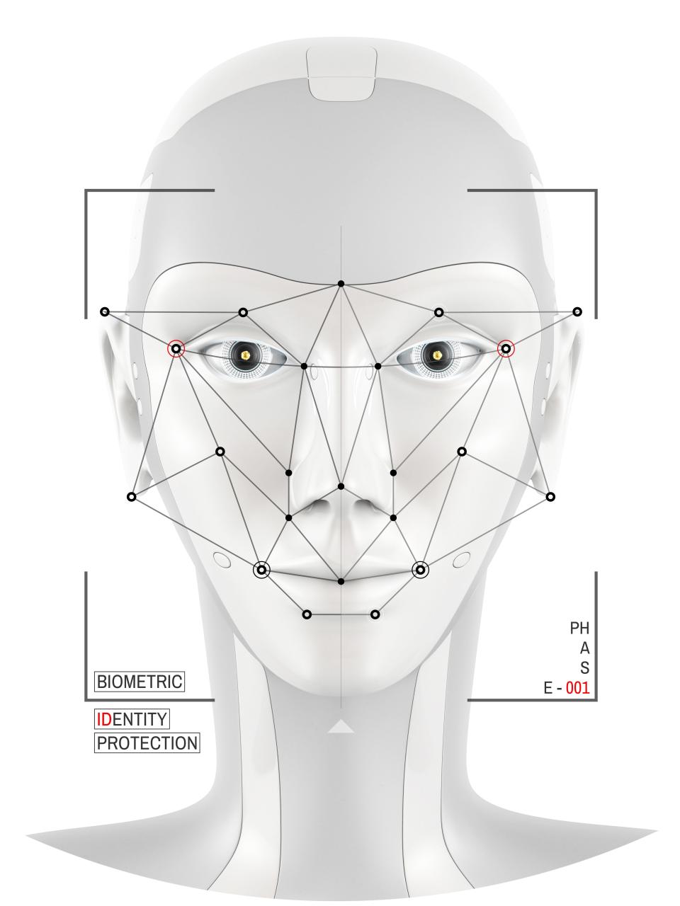 Biometric verification, illustration.