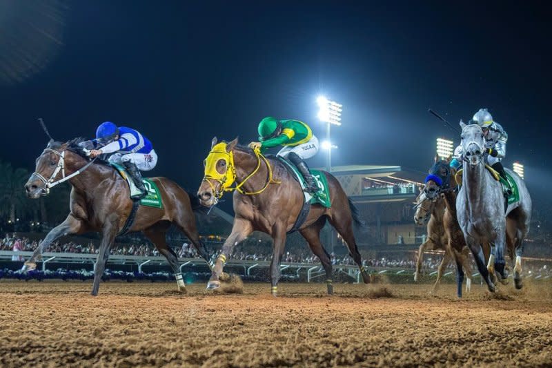 Senor Buscador (blue) and Ushba Tesoro (green), shown finishing 1-2 in the $20 million Saudi Cup, go at it again in Saturday's $12 million Dubai World Cup. Photo by Mathea Kelley, courtesy of Jockey Club of Saudi Arabia