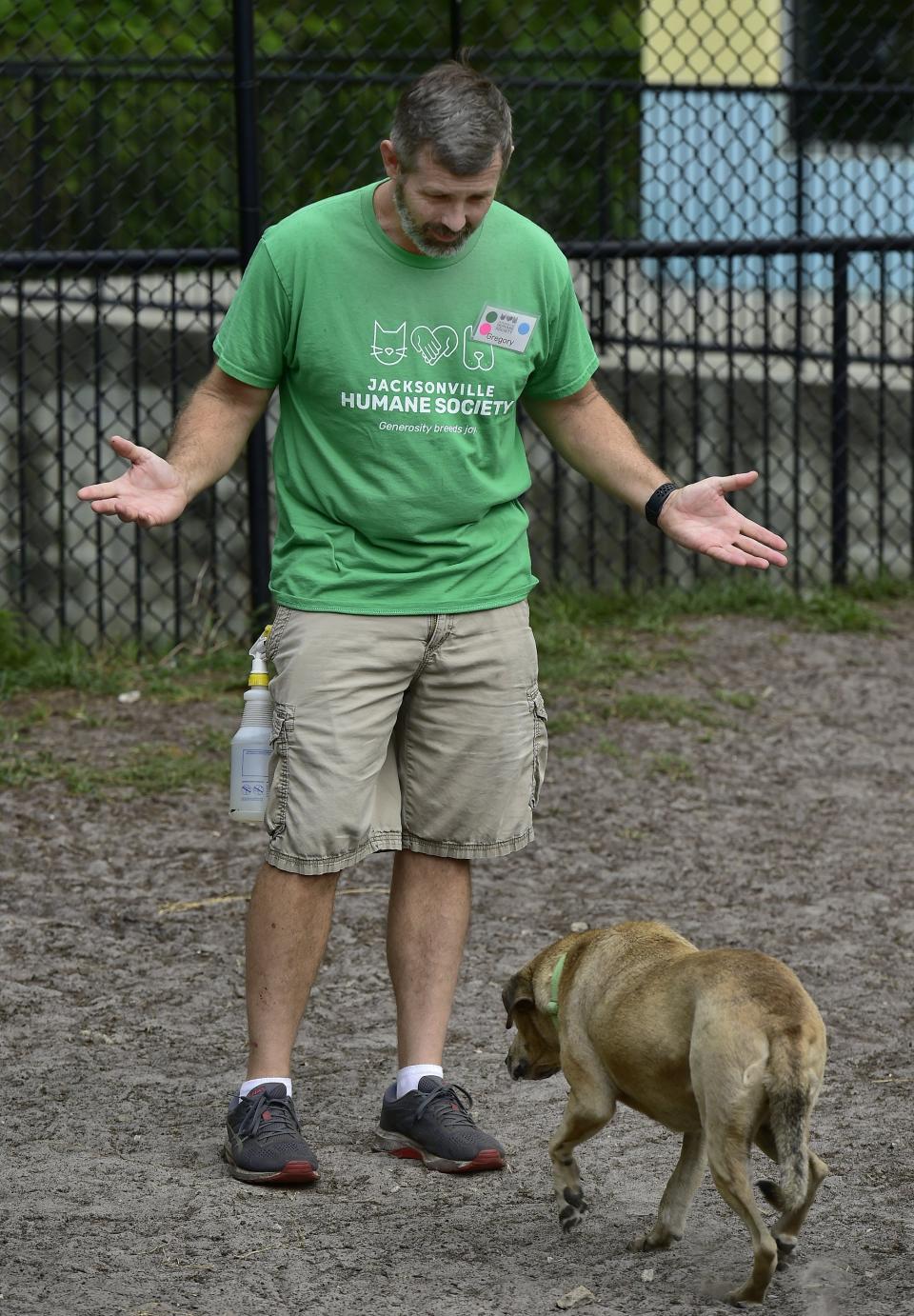 Volunteer Gregory Boyd talks to one of the dogs that did not want to join the others during socializing in the play yard at the Jacksonville Humane Society on Thursday. The Humane Society's Paws & Stripes program offers veterans and military members opportunities for volunteering and career training. Boyd is one of the veterans going through the program.