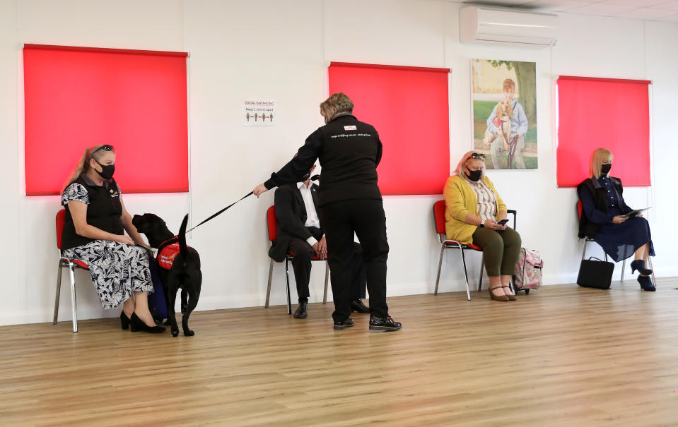 MILTON KEYNES, ENGLAND - SEPTEMBER 09:  A general view of a demonstration showcasing how a dog could learn to detect the COVID-19 virus during a visit by Camilla, Duchess of Cornwall, Patron of Medical Detection Dogs, at the charity’s training centre on September 09, 2020 in Milton Keynes, England. Trials are currently underway to determine whether dogs can act as a diagnostic tool of COVID-19. (Photo by Chris Jackson - WPA Pool/Getty Images)