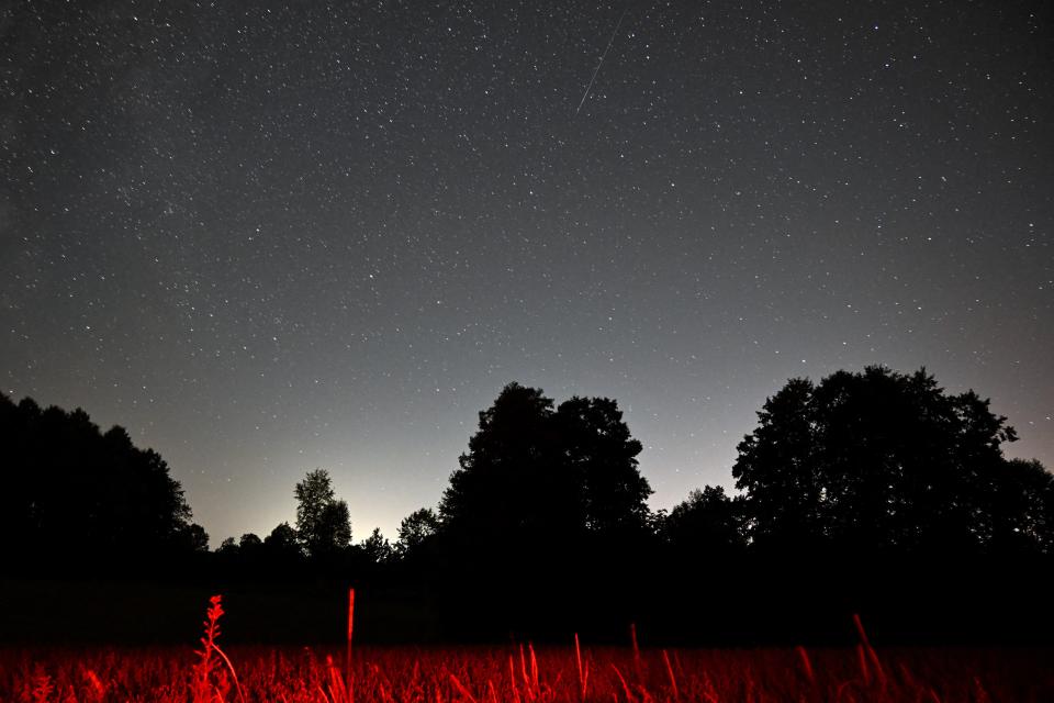 Watch the Perseid meteor shower illuminate the sky in Southern Minnesota