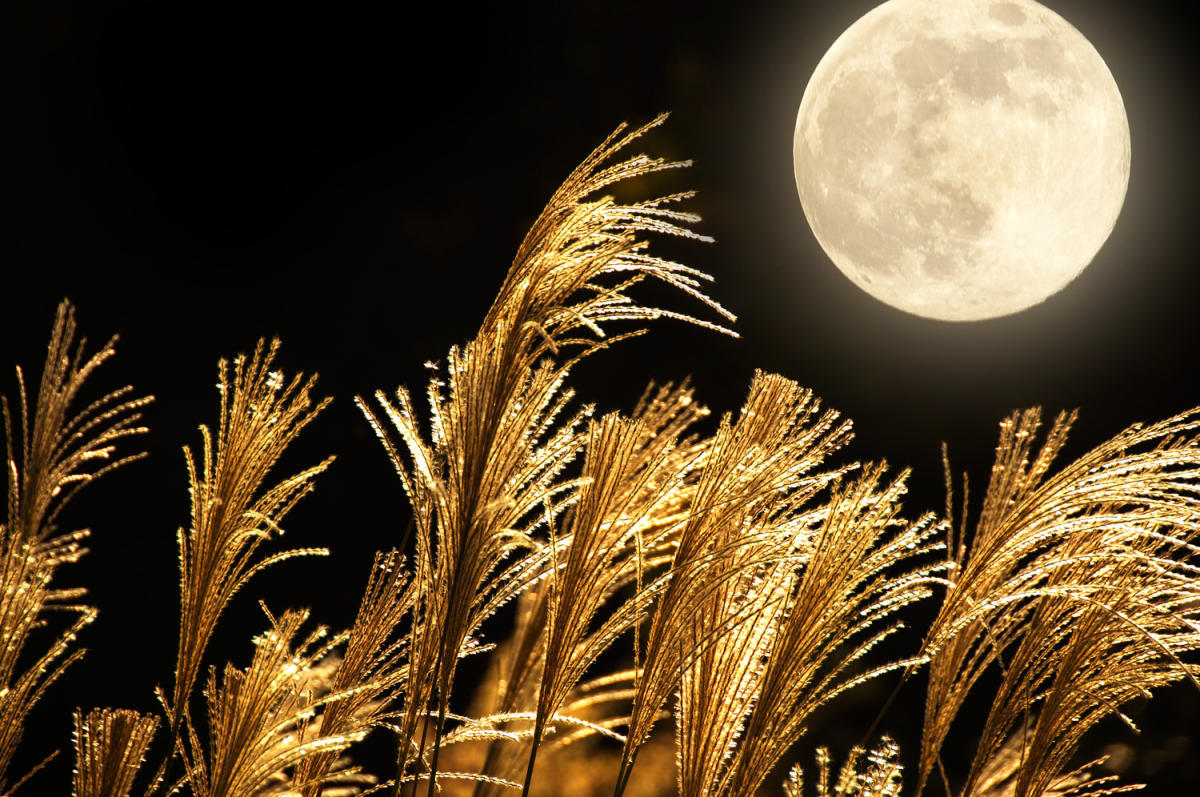 Quels sont les effets de la pleine Lune sur le corps ?