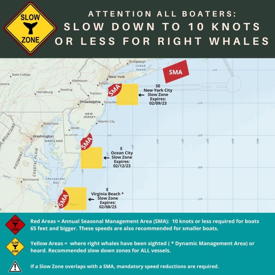 Boaters are asked to voluntarily slow their speed in zones marked in yellow, in order to protect right whales. Vessels 65 feet or longer are required to slow to 10 knots or less in zones marked in red.