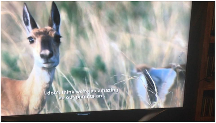 Netflix Accidentally Put Aziz Ansari Subtitles on a Nature Doc and the Results Are Amazing