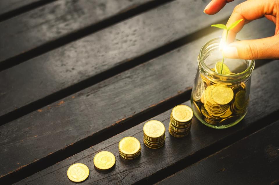 Person touching a sapling that is emitting light from a jar filled with coins with increasingly larger stacks of coins leading up to the jar.