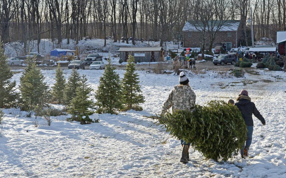 The Schauffele family of North East carry their Christmas tree to their vehicle, Dec. 7, 2019, at Heaton's Tree Farm, 12270 Cole Road in North East Township. The family business grows about 18 acres of blue spruce, white pine and Fraser fir trees.