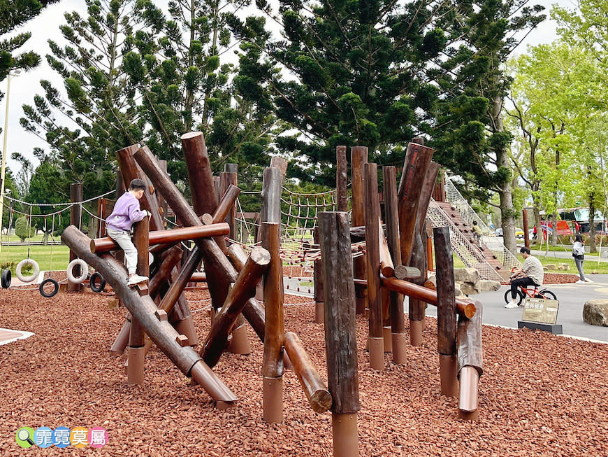 桃園龍潭綠杉林公園