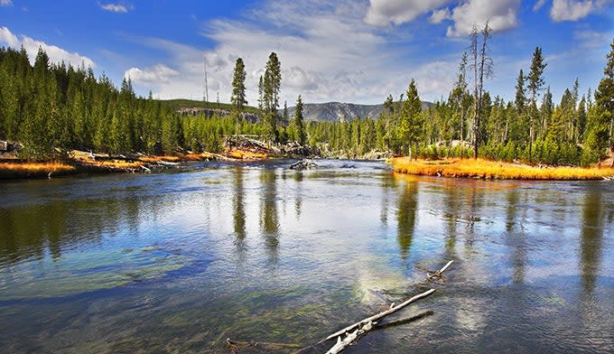 Yellowstone's Gibbons River in Autumn