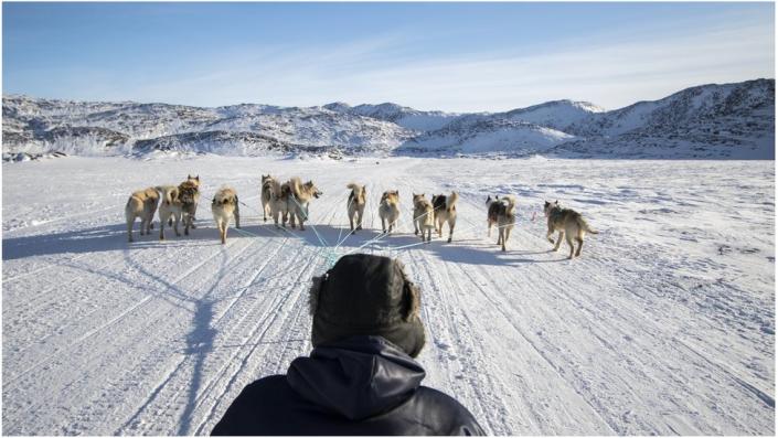 A man riding a sledge across the ice pulled by several dogs