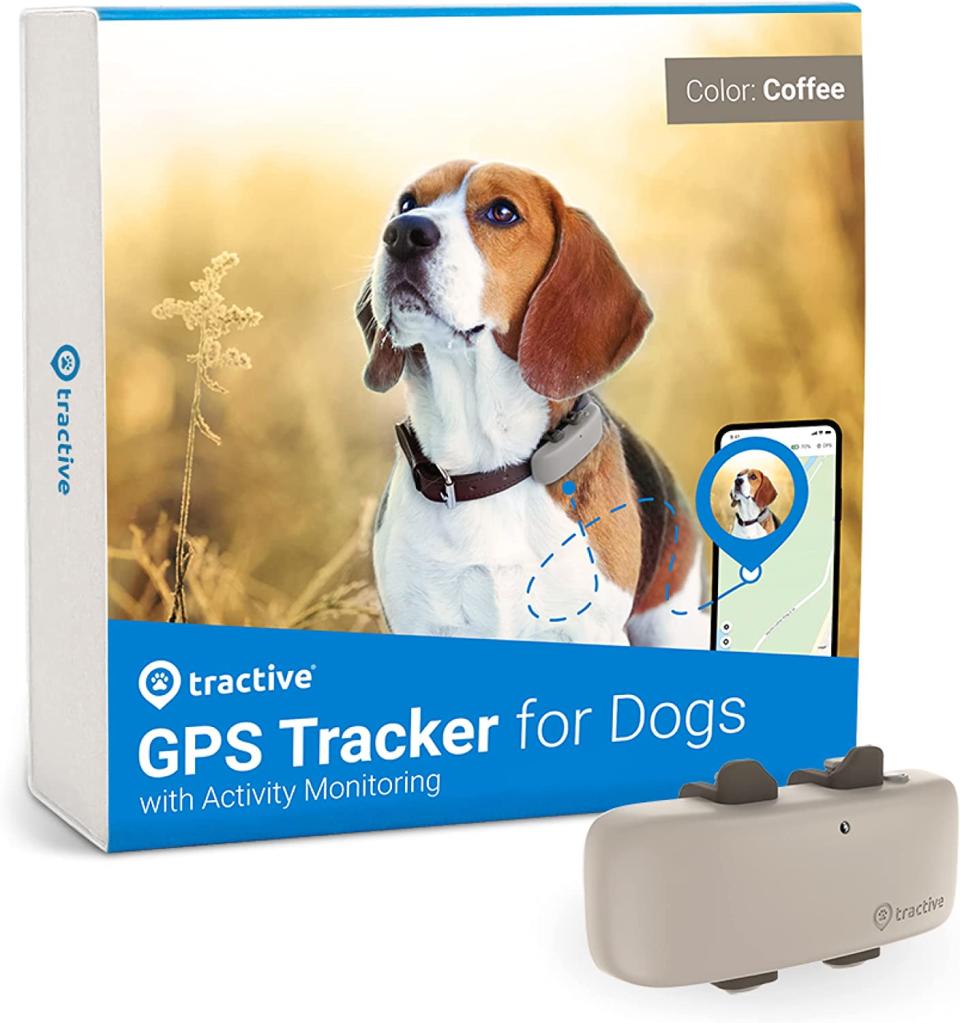 Tractive LTE GPS Dog Tracker. Image via Amazon.