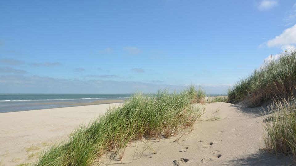 Beautiful sand dunes on the North Sea coast in Renessa, Zeeland, Holland