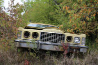 <p>This 1973 Ford Thunderbird is modelling the 5mph bumpers that became mandatory that year. It’s also providing us with a great view of the egg crate grille and fender edge-mounted turn signals which identified this model year.</p><p>Of all the years that the sixth generation (1972 to 1976) cars were sold, 1973 was the best in terms of volume, with <strong>87,269</strong> finding buyers.</p>