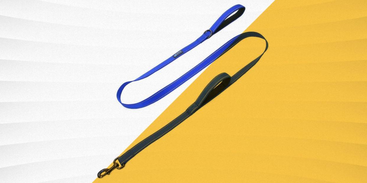 max and neo dog leash in blue
