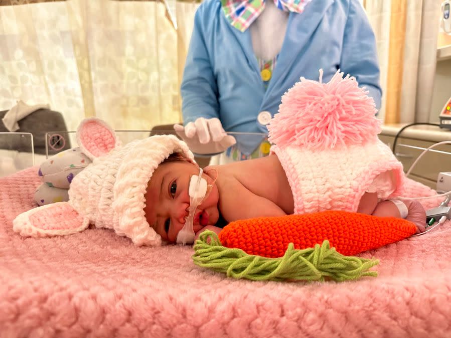 Easter Bunny visits babies in the NICU at St. David’s Round Rock Medical Center. (Photo courtesy: St. David’s Round Rock Medical Center)