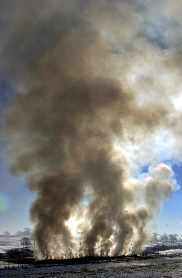 Foot & mouth Netherplace pyre