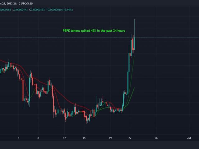 Pepe Coin Price Plummet Continues as Surging New Memecoin Presales Rally