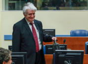 Former Bosnian Serb leader Radovan Karadzic appears in a courtroom before the International Residual Mechanism for Criminal Tribunals (MICT), which is handling outstanding war crimes cases for the Balkans and Rwanda, in The Hague, Netherlands, April 23, 2018. REUTERS/Yves Herman/Pool