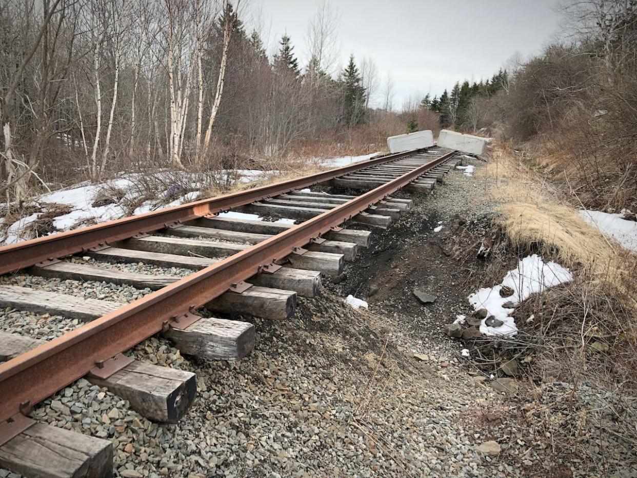 The provincial government will fund a study into the development of light rail in the Cape Breton Regional Municipality. Cape Breton University will lead the study. (Tom Ayers/CBC - image credit)
