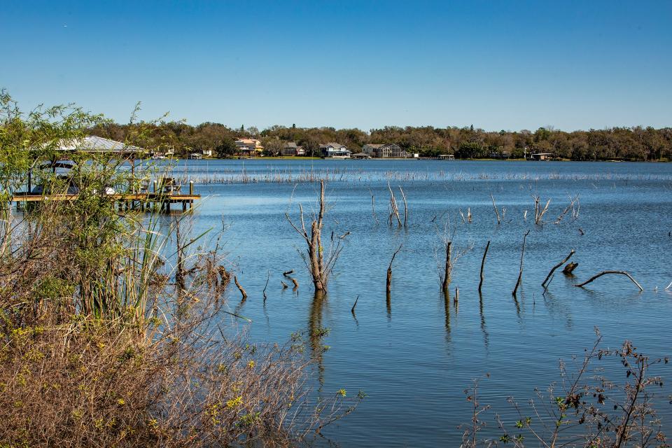 The Fitzgerald Road boat ramp on the west side of Scott Lake was specifically mentioned in a health department alert late last week about toxic blue-green algae blooms.