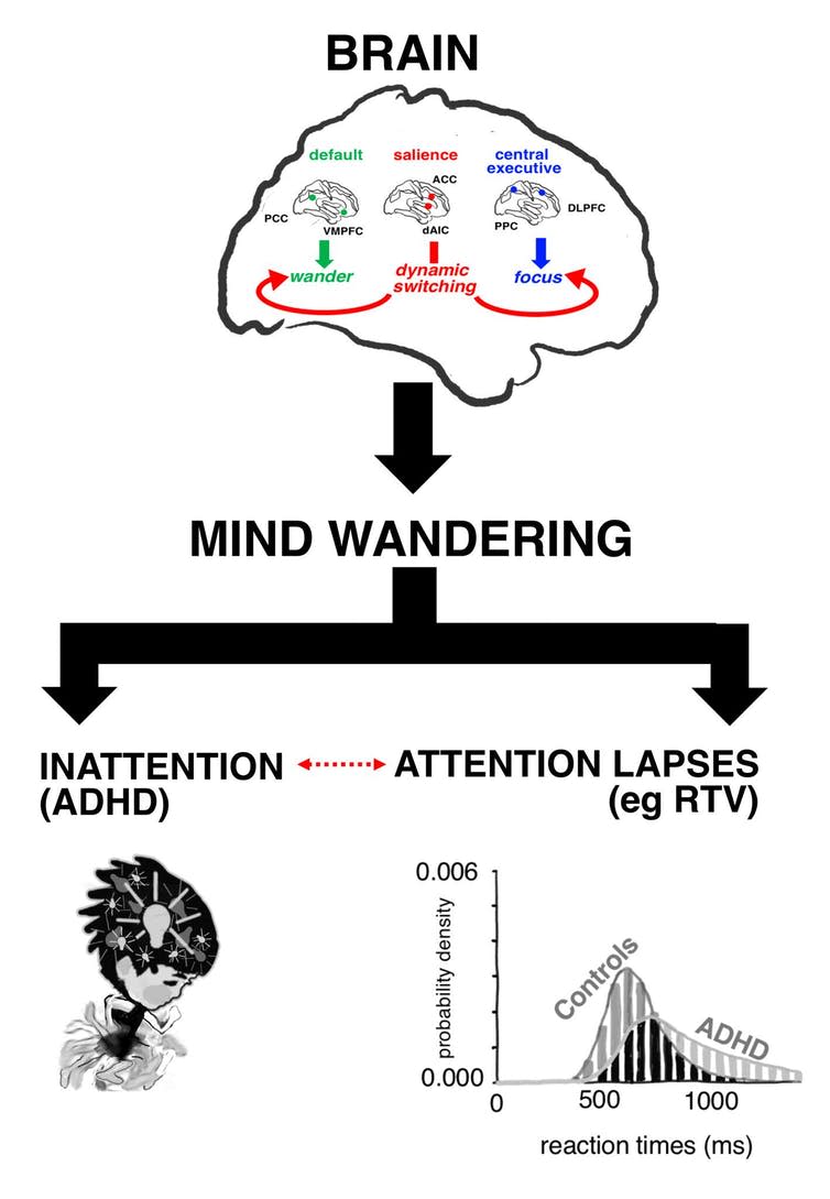 <span class="caption">A diagram of mind-wandering.</span> <span class="attribution"><span class="source">Drawing by Kai Syng Tan (2018) for 'Mind wandering perspective on attention-deficit/hyperactivity disorder' by Natali S. Bozhilova, Giorgia Michelini, Jonna Kuntsi, Philip Asherson (Neuroscience and Biobehavioral Reviews, 92, 464-476, 2018). </span></span>