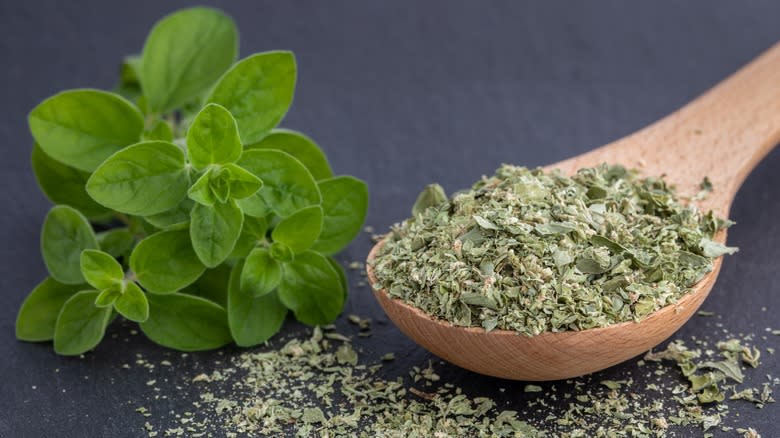 Fresh and dried oregano