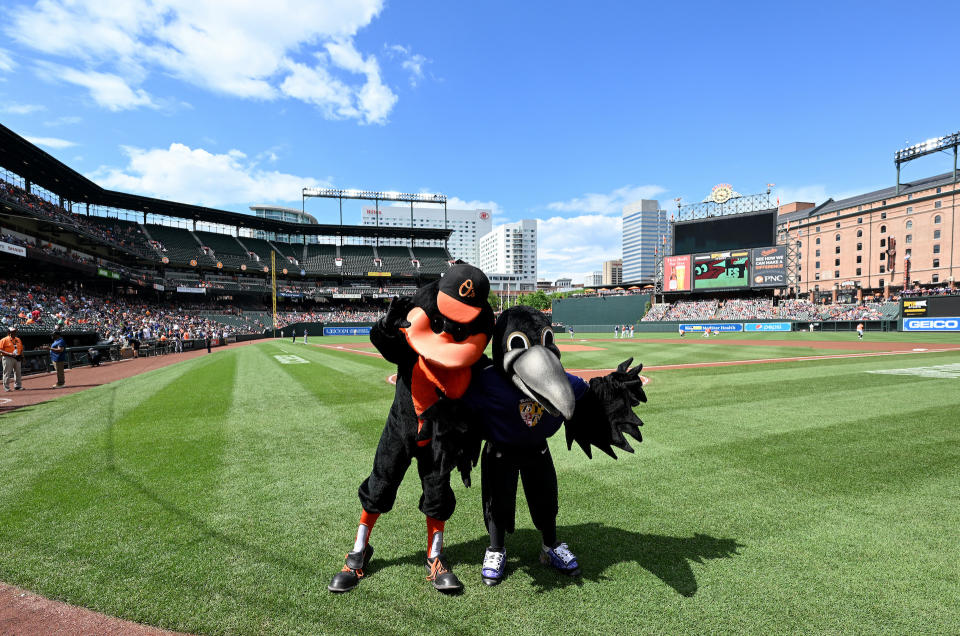 The Orioles and Ravens' mascots are all smiles. (Photo by G Fiume/Getty Images)