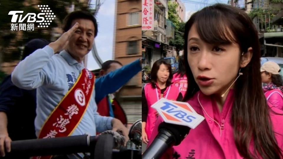 許淑華曾和費鴻泰對壘競選。（圖／TVBS資料畫面）