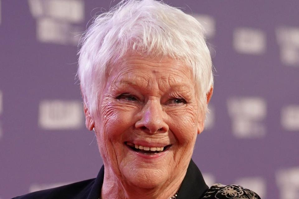 Dame Judi Dench (PA Wire)