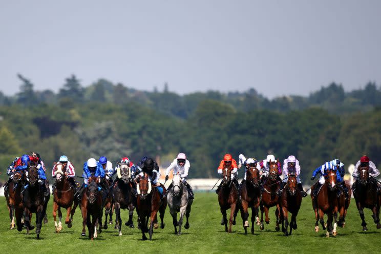ASCOT, ENGLAND – JUNE 21: Horses run in The Royal Hunt Cup during day 2 of Royal Ascot at Ascot Racecourse on June 21, 2017 in Ascot, England. (Photo by Charlie Crowhurst/Getty Images for Ascot Racecourse)